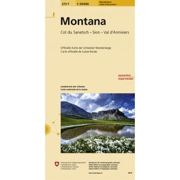 273T: Montana