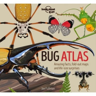 Bug Atlas (Lonely Planet Kids)