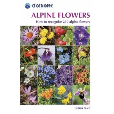 Alpine Flowers : How to recognise 230 alpine flowers
