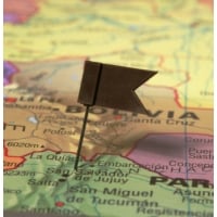Flag Map Pins/Tacks (Brown) 716