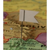 Flag Map Pins/Tacks (Grey) 729
