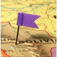 Flag Map Pins/Tacks (Lilac) 721