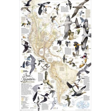 Bird Migration, Western Hemisphere Wall Map (20.25 x 31.25 inches)