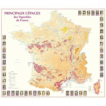 Varieties Of Grapes In The French Vineyards Paper Wall Map 9907